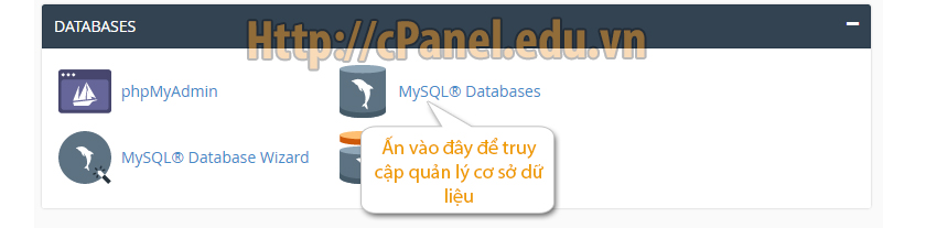 Mở trình quản lý cơ sở dữ liệu (Database) trong cPanel