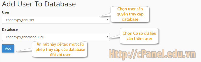 Thêm User truy cập Database trong host cPanel