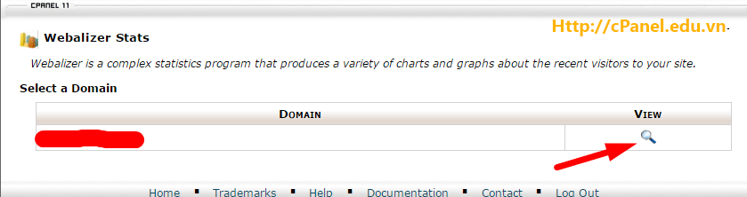 Chọn domain Webalizer trong cPanel